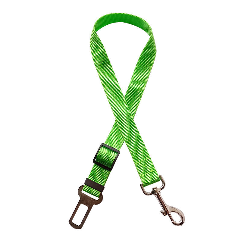 Ceinture de sécurité pour chien et chat