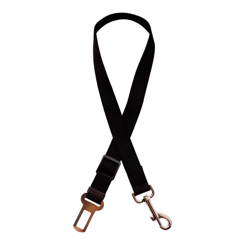 Ceinture de sécurité pour chien et chat