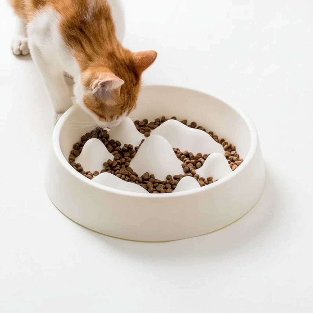 Gamelle anti-glouton en acier inoxydable