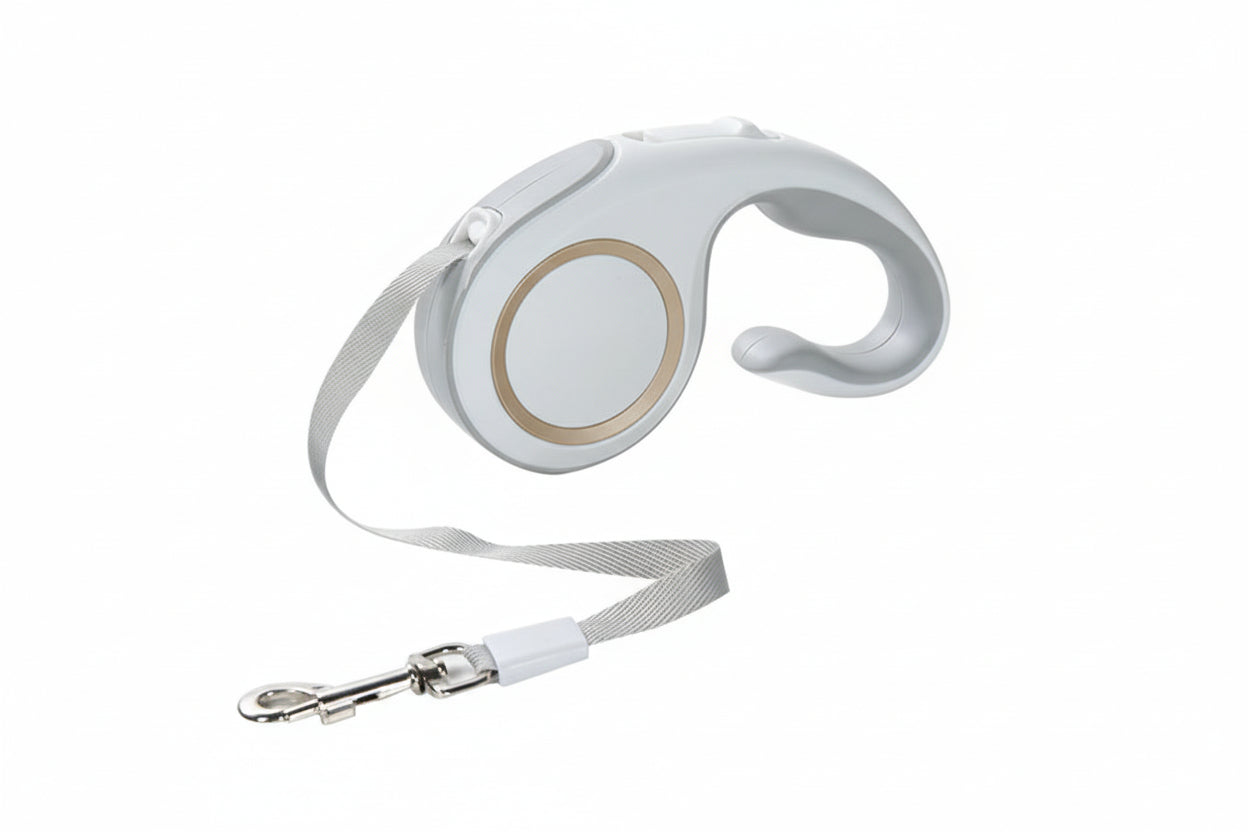 Laisse rétractable pour chien