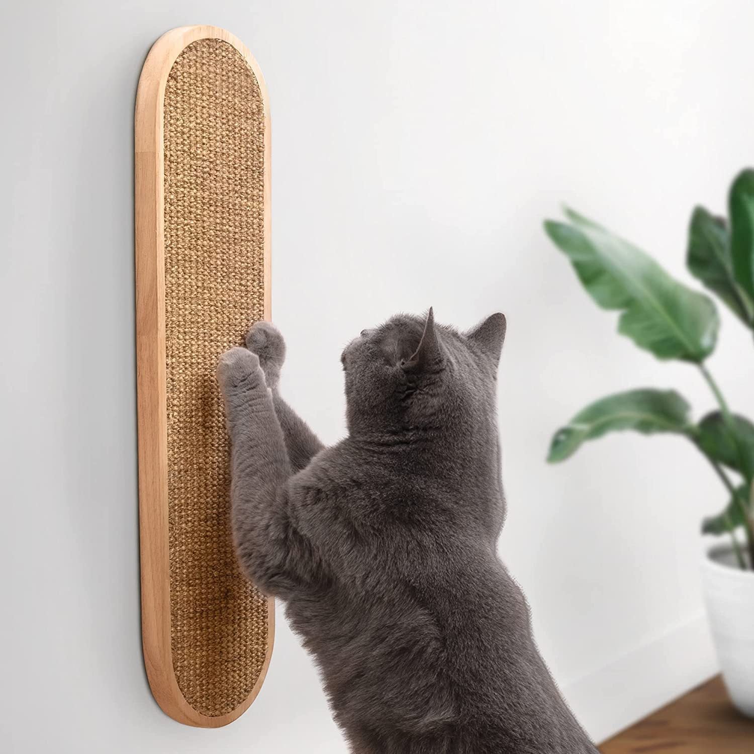 Griffoir mural en sisal pour chat
