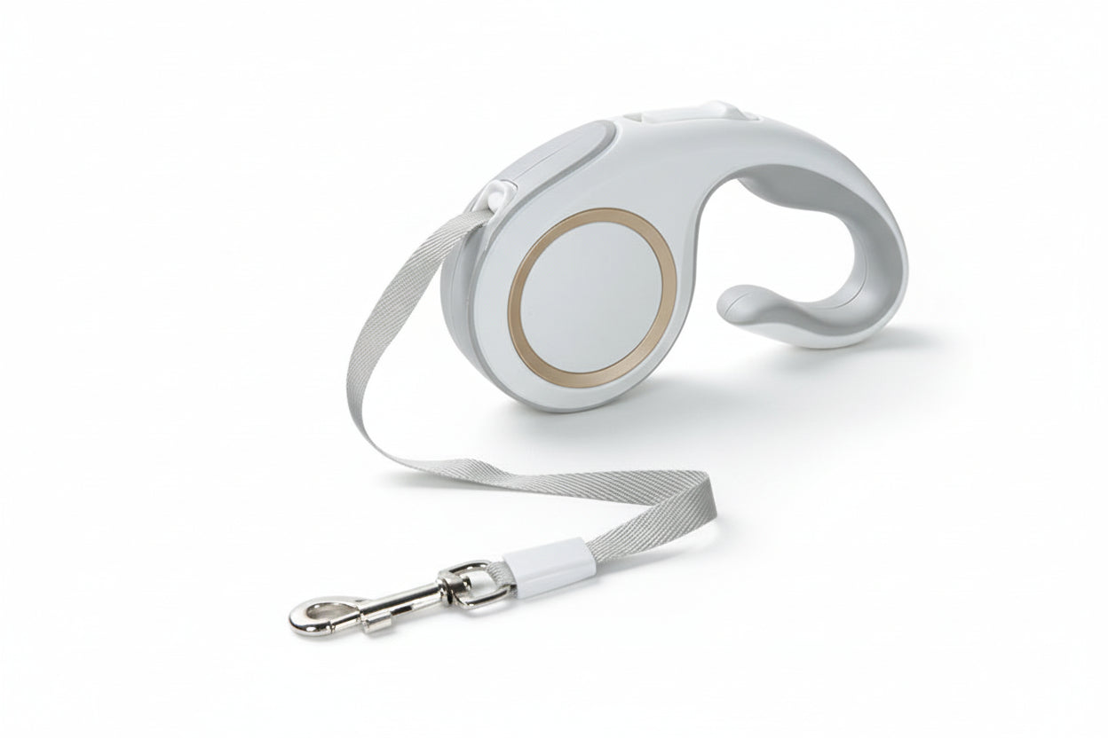 Laisse rétractable pour chien